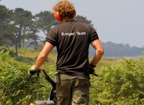 Ranger doing heathland management