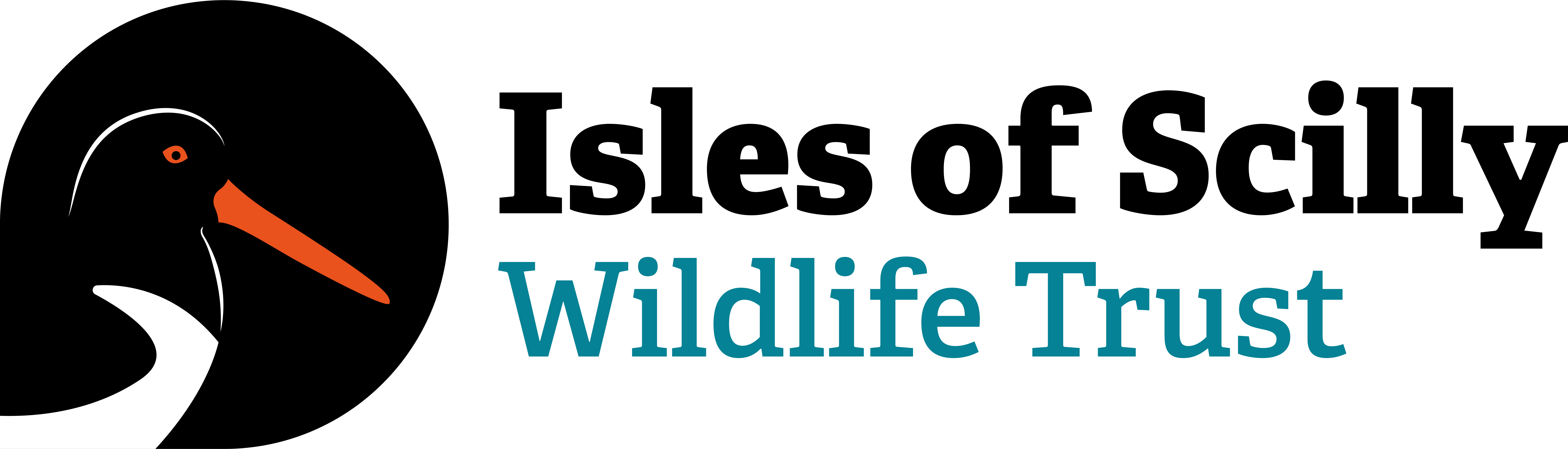 Birds Isles Of Scilly Wildlife Trust