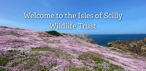 Welcome the Isles of Scilly Wildlife Trust Banner