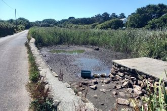 Porthloo in drought