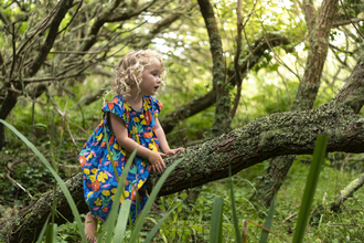 Child in tree