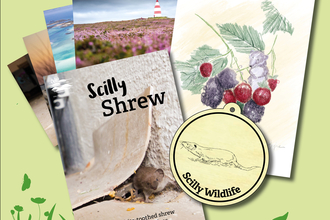 Scilly Shrew Adoption Pack