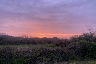 Sunrise over Lower Moors