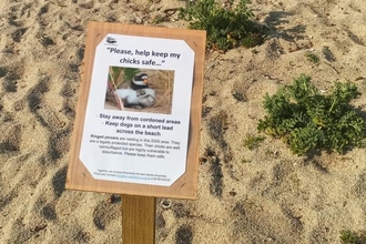 A sign protecting a ringed plover nest