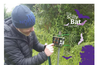 Isles of Scilly Bat Report 2022 front cover