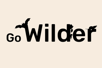 Go Wilder graphic