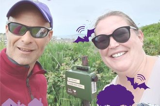 Big Scilly Bat Survey 2024 title card image