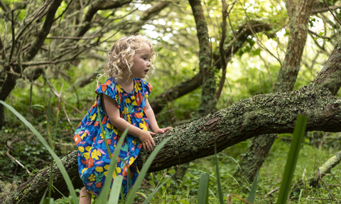 Child in tree