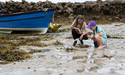 Children rockpooling