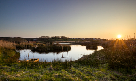 Lower Moors sunset