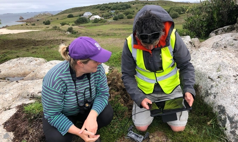 Seabird surveys