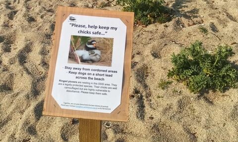 A sign protecting a ringed plover nest