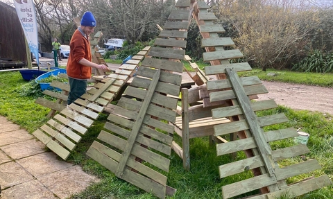 Painting pallet trees