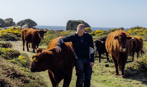 Scott Maccarthy and cow herd by Sam Moss