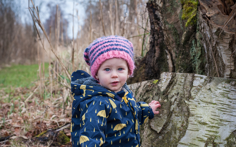 Poppy the toddler stands next to a tree stump