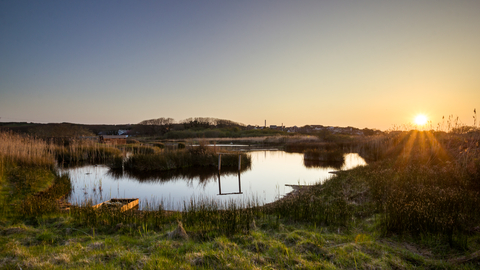 Lower Moors sunset