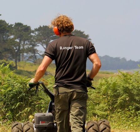 Ranger doing heathland management