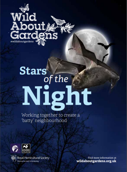 Stars of the Night Bats Cover