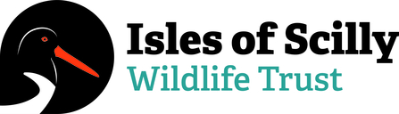 Isles of Scilly Wildlife Trust new logo