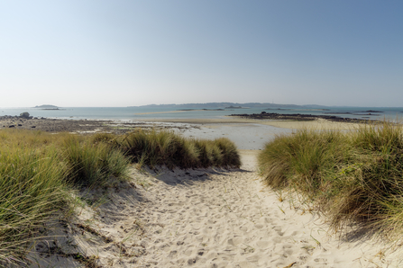 Sand dune by Sam Moss