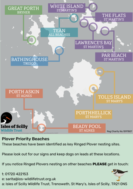 Ringed Plover Priority Map 2025