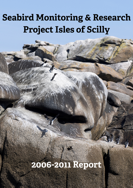 Seabird Monitoring & Research Project  Isles of Scilly 2006-2011 title card