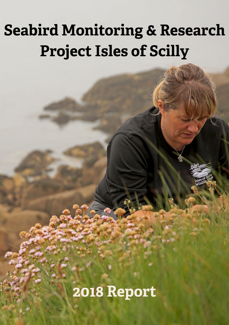 Seabird Recovery Project 2018 Title Card