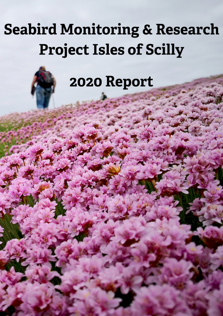 Seabird Recovery Project 2020 Title Card