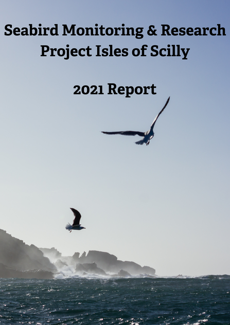 Seabird Recovery Project 2021 Title Card