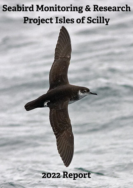 Seabird Recovery Project 2022 Title Card
