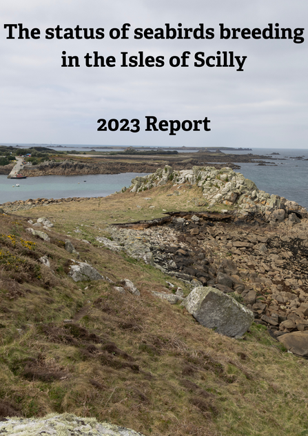 Seabird Recovery Project 2023 Title Card