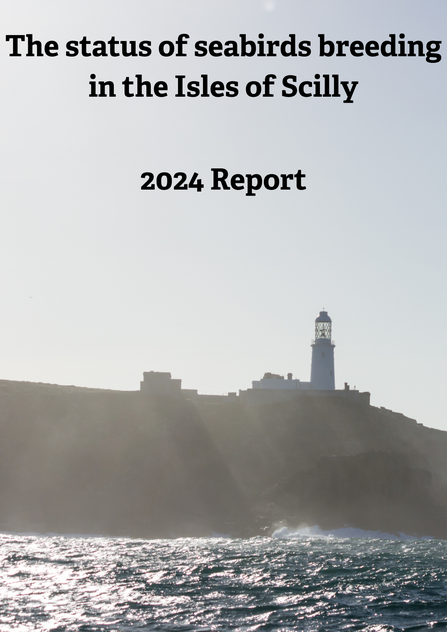 Seabird Recovery Project 2024 Title Card