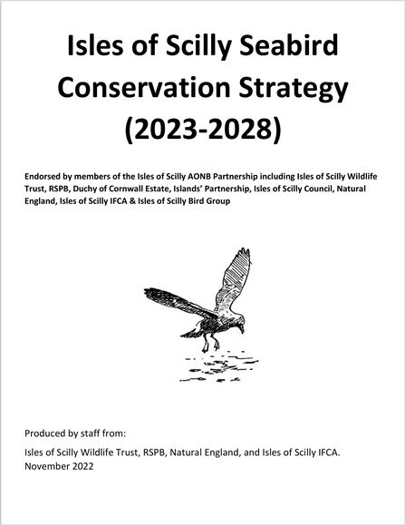 Isles of Scilly Seabird Conservation Strategy 2023-2028