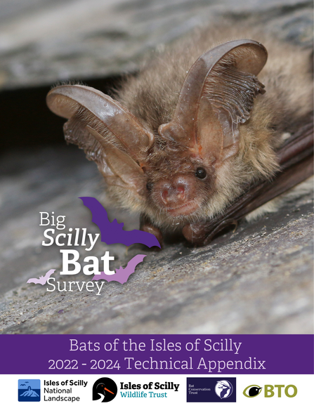 Big Scilly Bat Survey 2022-2024 Technical Appendix title card