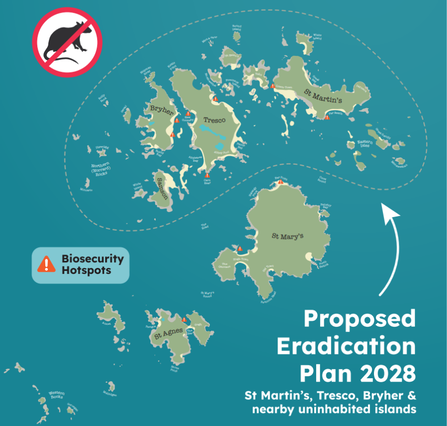 Scilly Seabird Recovery Project Proposed Rat Eradication Plan 2028 graphic