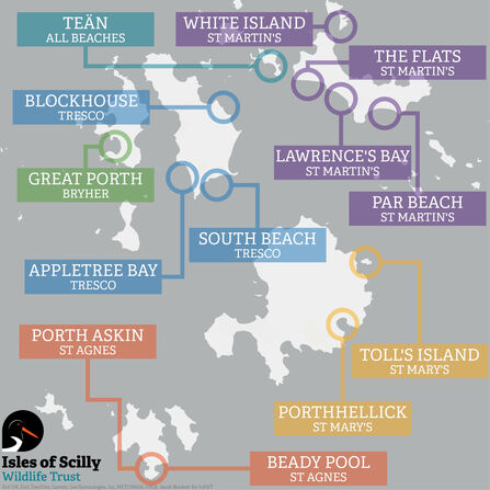 Plover Priority Map 2026