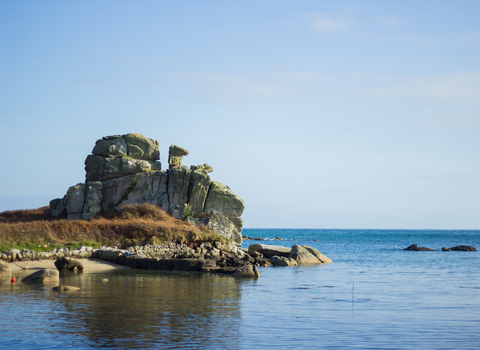 Porth Hellick Camel Rock