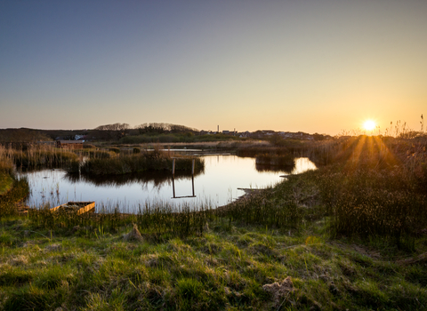 Lower Moors sunset